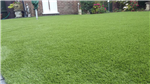 Luxury Lawns AGS 
Artificial Grass  Gallery Thumbnail