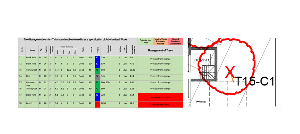 BS5837 Tree schedules Gallery Image