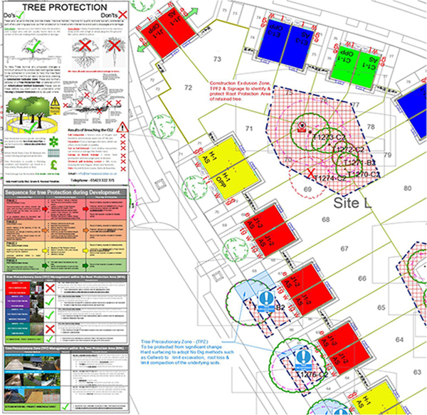 BS5837 Surveys for developers Gallery Image