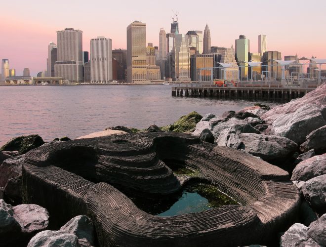 ECOncrete Tide Pools New York  Gallery Image