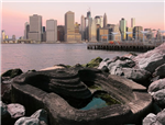 ECOncrete Tide Pools New York  Gallery Thumbnail