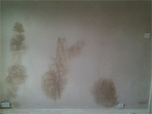 Boyce Plastering Image