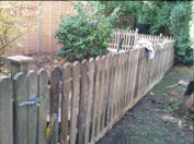 Heritage Sheds And Fencing Ltd Image