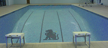 Haslemere Pools Ltd Image