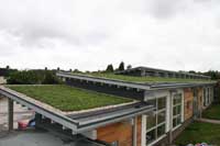 Blackdown Green Roofs Image