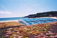 Blackdown Green Roofs Image