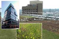 Blackdown Green Roofs Image