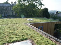 Eco Green Roofs Image