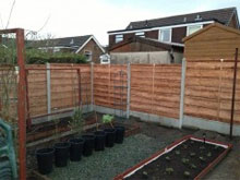 Mallard Fencing Image