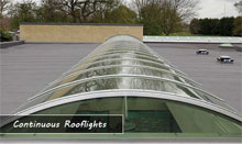 The Skylight Company Image