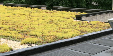 Pellow Flat Roofing Ltd Image