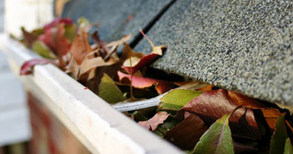 Blue Sky Guttering Services Image