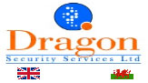 Dragon Security Services