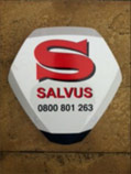 Salvus Security Systems Limited Image